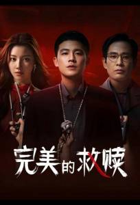 Идеальный подозреваемый (сериал 2025)